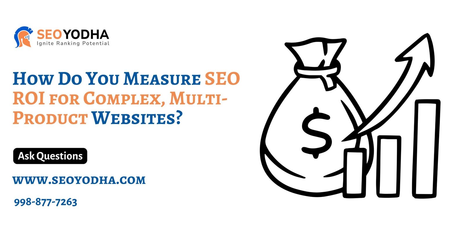 SEO ROI for Complex, Multi-Product Websites